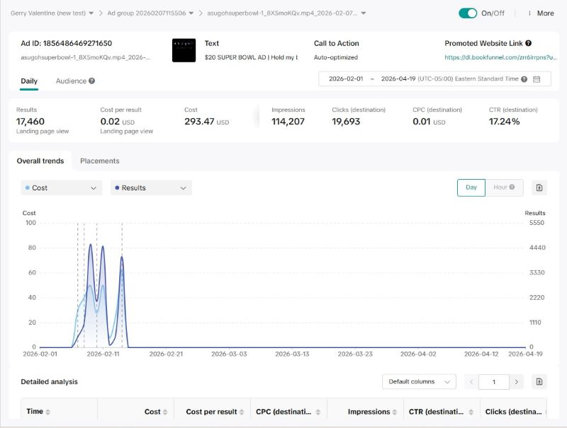 TikTok ad dashboard